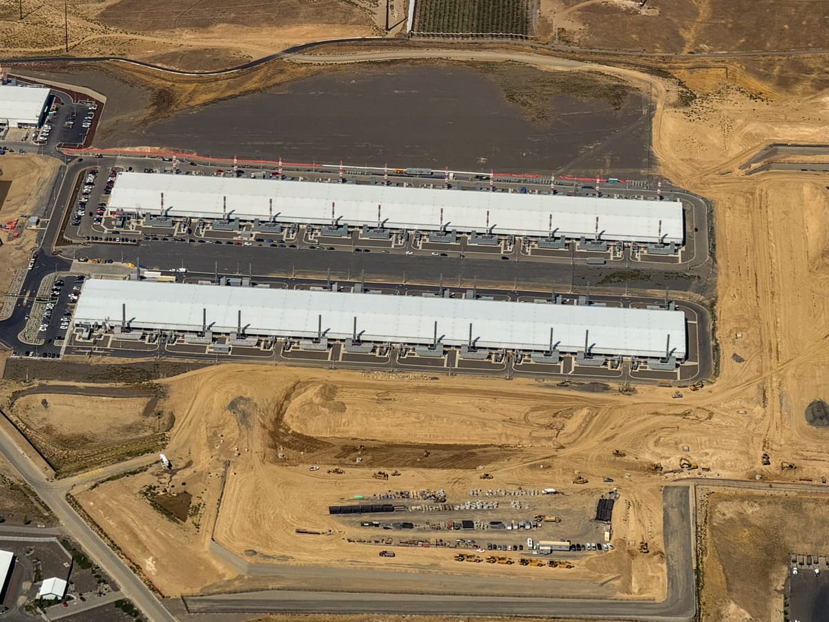 Don't be a sheeple on the AI CONundrum