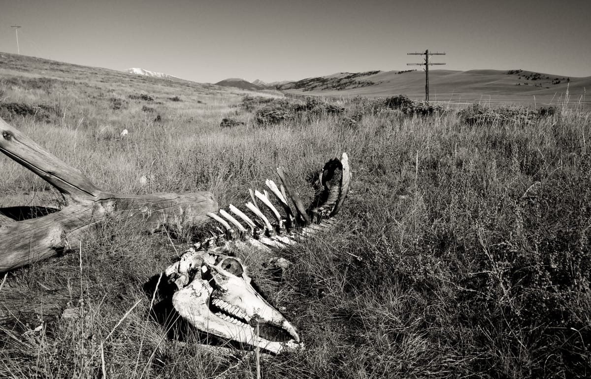 Colorado - a warning about the scheming dirty data center McCormicks