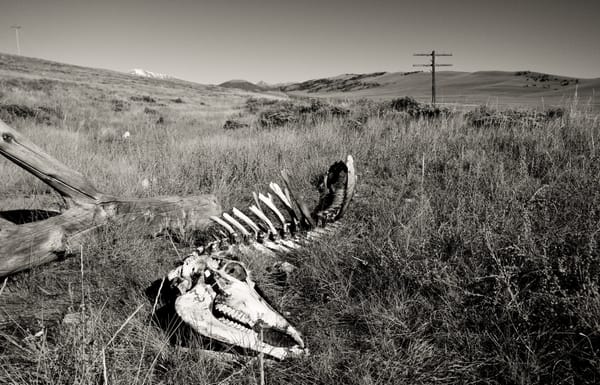 Colorado - a warning about the scheming dirty data center McCormicks